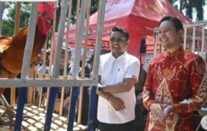 Bupati Cianjur